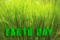 World Earth Day - April 22, Concept poster with fresh green grass Royalty Free Stock Photo