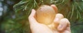 World earth day. Hands are holding a glass planet. Royalty Free Stock Photo