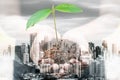 World Eco Friendly for Save The Green Earth Concept, Double Exposure Images of Woman Hands is Holding Tree Seeding With Cityscape Royalty Free Stock Photo