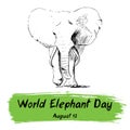 World Elephant Day, international holiday, August 12. Poster with hand drawn sketchy elephant. Isolated. Vector illustration Royalty Free Stock Photo