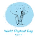 World Elephant Day, international holiday, August 12. Poster with hand drawn sketchy elephant. Isolated. Vector illustration Royalty Free Stock Photo