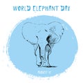 World Elephant Day, international holiday, August 12. Poster with hand drawn sketchy elephant. Isolated. Vector illustration Royalty Free Stock Photo