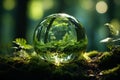 World Environment Day background. Earth day. Glass globe in green forest. Environmental conservation. Green planet. Environmental Royalty Free Stock Photo