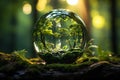 World Environment Day background. Earth day. Glass globe in green forest. Environmental conservation. Green planet. Environmental Royalty Free Stock Photo