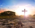 resurrection concept: the Lamb of God in front of the cross of Christ Jesus Royalty Free Stock Photo