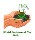 World environment day concept