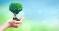 World Environment Day concept: Human hands holding big tree over blue sky background Royalty Free Stock Photo