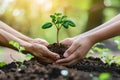 World environment day concept, protecting nature. Close up of male and female hands holding and caring for young gr