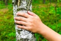 World Environment Day. The girl hands hugging a tree trunk. To hold the birch. The concept of unity with nature. Draw strength fro Royalty Free Stock Photo