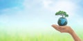 World environment day and green concept. Royalty Free Stock Photo