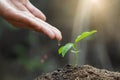 The World Environment Day, Male hand giving water to tree with with  drop over green and morning sunlight environment. Planting Royalty Free Stock Photo