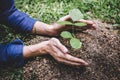 World environment day reforesting, Hands of young man were planting the seedlings and tree growing into soil while working in the