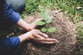 World environment day reforesting, Hands of young man were planting the seedlings and tree growing into soil while working in the