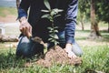 World environment day reforesting, Hands of young man were planting the seedlings and tree growing into soil while working in the