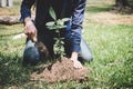 World environment day reforesting, Hands of young man were planting the seedlings and tree growing into soil while working in the