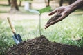 World environment day reforesting, Hands of young man were planting the seedlings and tree growing into soil while working in the