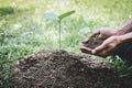 World environment day reforesting, Hands of young man were planting the seedlings and tree growing into soil while working in the