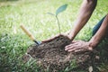 World environment day reforesting, Hands of young man were planting the seedlings and tree growing into soil while working in the