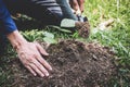 World environment day reforesting, Hands of young man were planting the seedlings and tree growing into soil while working in the