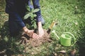 World environment day reforesting, Hands of young man were planting the seedlings and tree growing into soil while working in the