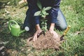 World environment day reforesting, Hands of young man were planting the seedlings and tree growing into soil while working in the