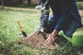 World environment day reforesting, Hands of young man were planting the seedlings and tree growing into soil while working in the