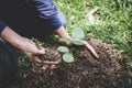 World environment day reforesting, Hands of young man were planting the seedlings and tree growing into soil while working in the