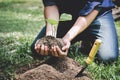 World environment day reforesting, Hands of young man were planting the seedlings and tree growing into soil while working in the