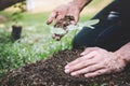 World environment day reforesting, Hands of young man were planting the seedlings and tree growing into soil while working in the