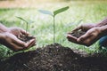 World environment day reforesting, Hands of young man helping were planting the seedlings and tree growing into soil while working