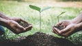 World environment day reforesting, Hands of young man helping were planting the seedlings and tree growing into soil while working Royalty Free Stock Photo