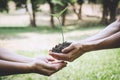 World environment day reforesting, Hands of young man helping were planting the seedlings and tree growing into soil while working