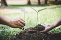 World environment day reforesting, Hands of young man helping were planting the seedlings and tree growing into soil while working