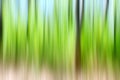 World environment green tree day concept. Abstract blurred trees texture sunset background Royalty Free Stock Photo