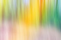 World environment green tree day concept. Abstract blurred trees texture sunset background Royalty Free Stock Photo