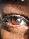 the world through this eye . Long lashes , brown eyes . Royalty Free Stock Photo