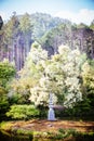 Kinkakuji Temple (The Golden Pavilion) in Kyoto, Japan Royalty Free Stock Photo