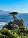 Picturesque view of the Lone Cypress Tree on 17 Mile Drive in California Royalty Free Stock Photo