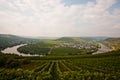 World famous sinuosity at the river Mosel near Trittenheim with