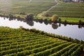 World famous sinuosity at the river Mosel near Trittenheim with Royalty Free Stock Photo