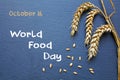 World Food Day, October 16, chalkboard with cereal and text Royalty Free Stock Photo