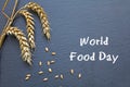 World Food Day, October 16, chalkboard with cereal and text Royalty Free Stock Photo