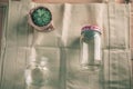 World free of plastic.Green products - bag made from bamboo or reuse, succulent and glass jar on nature wood background.