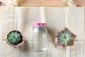 World free of plastic.Green products-bag made from bamboo or reuse, succulent and glass jar on nature wood background.