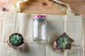 World free of plastic.Green products - bag made from bamboo or reuse, succulent and glass jar on nature wood background.