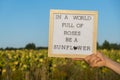 IN A WORLD FULL OF ROSES BE A SUNFLOWER text on white board next to sunflower field. Sunny summer day. Motivational Royalty Free Stock Photo