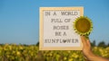 IN A WORLD FULL OF ROSES BE A SUNFLOWER text on white board next to sunflower field. Sunny summer day. Motivational Royalty Free Stock Photo