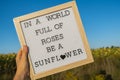 IN A WORLD FULL OF ROSES BE A SUNFLOWER text on white board next to sunflower field. Sunny summer day. Motivational Royalty Free Stock Photo