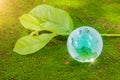 World globe crystal glass on green lush leaf on moss and reflect shine sun. World environment day. Global business for sustainable Royalty Free Stock Photo