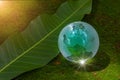 World globe crystal glass on green lush leaf on moss and reflect shine sun. World environment day. Global business for sustainable Royalty Free Stock Photo